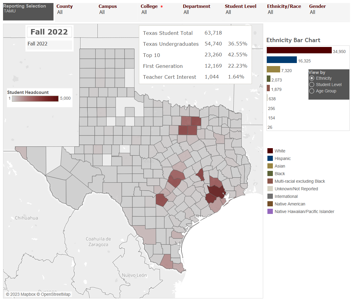 Student Demographics by Texas Counties